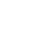 delivery icon