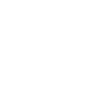 shipping icon